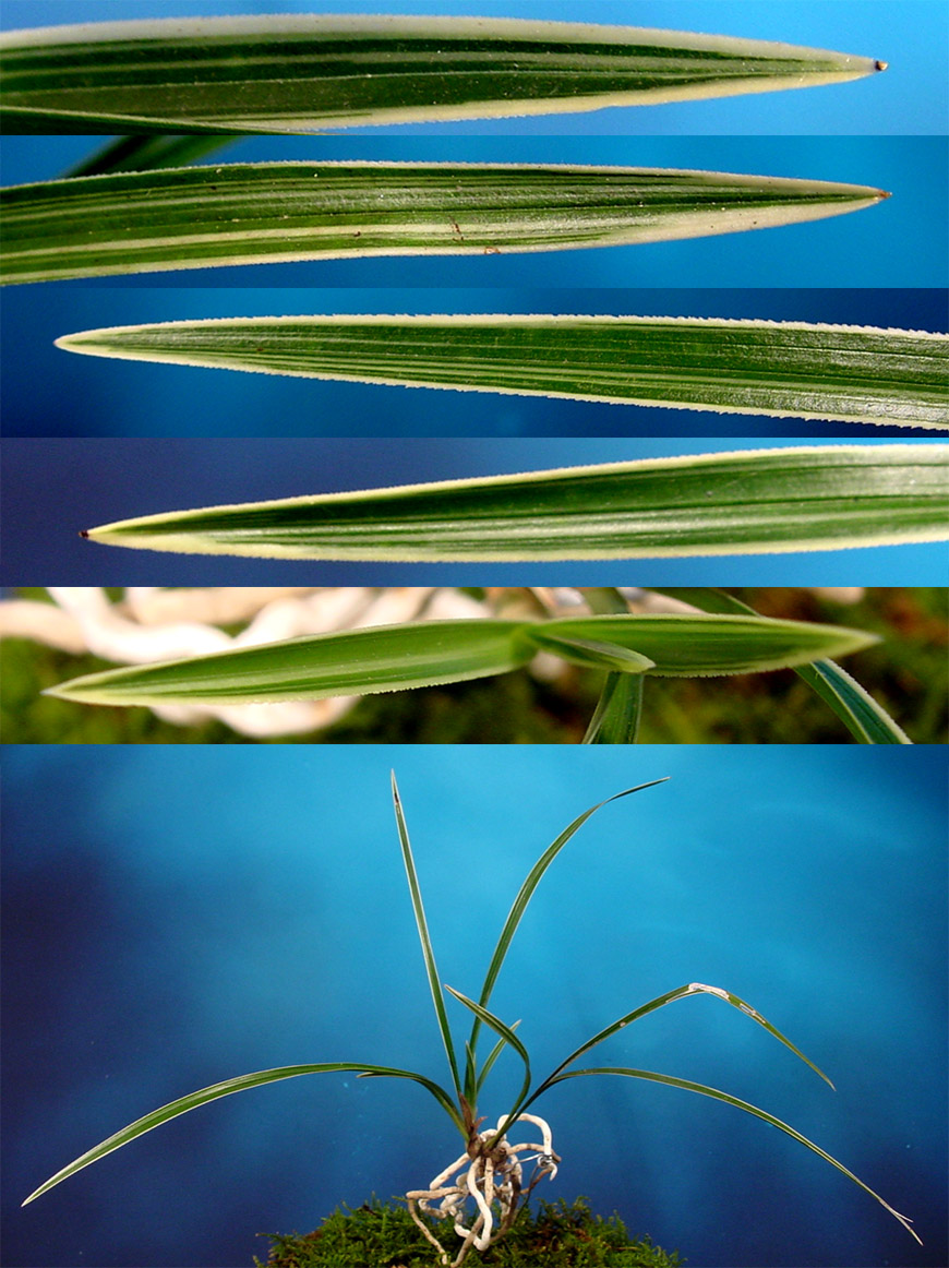 ������ ū������ �� �� �ֽ��ϴ�.