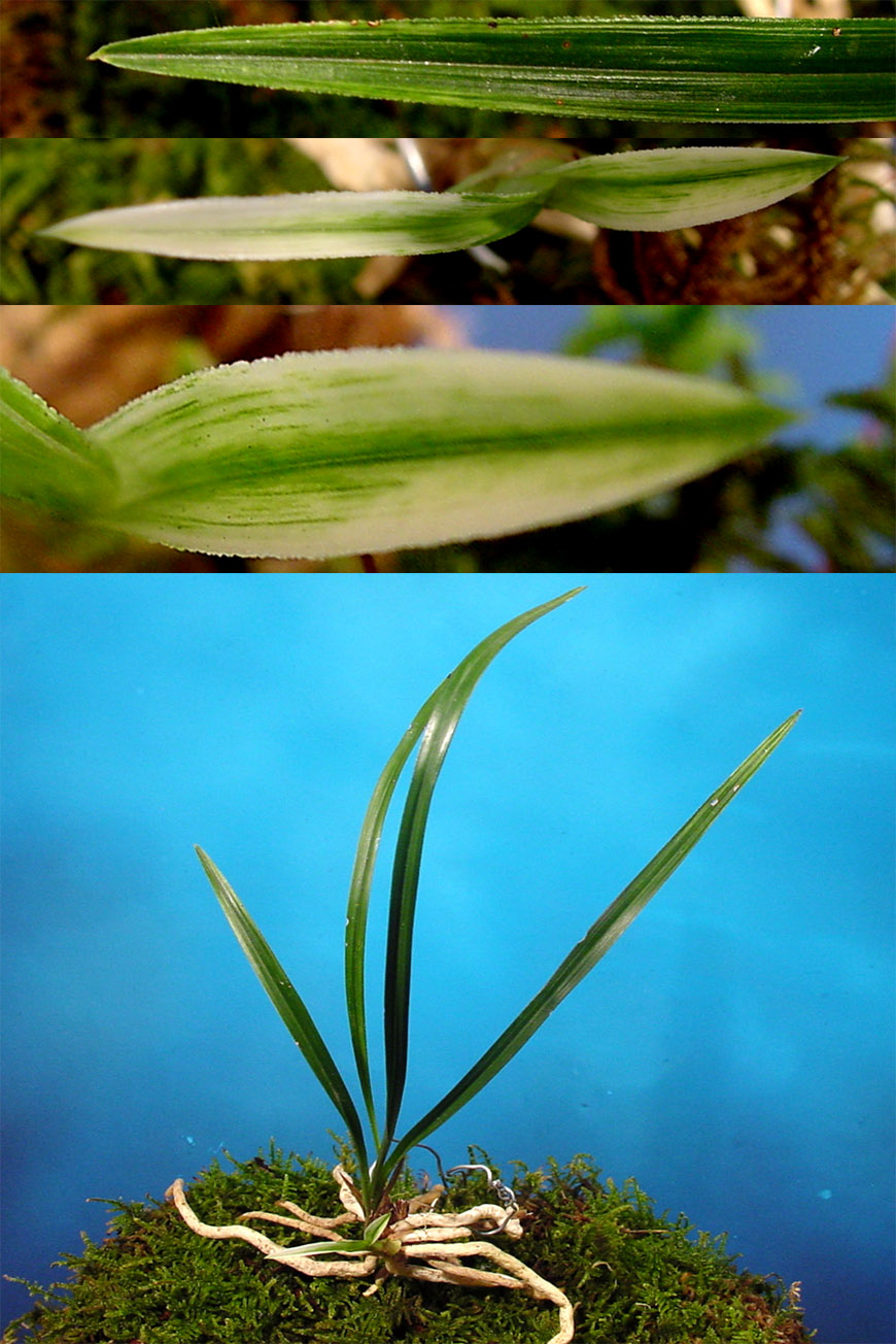 ������ ū������ �� �� �ֽ��ϴ�.