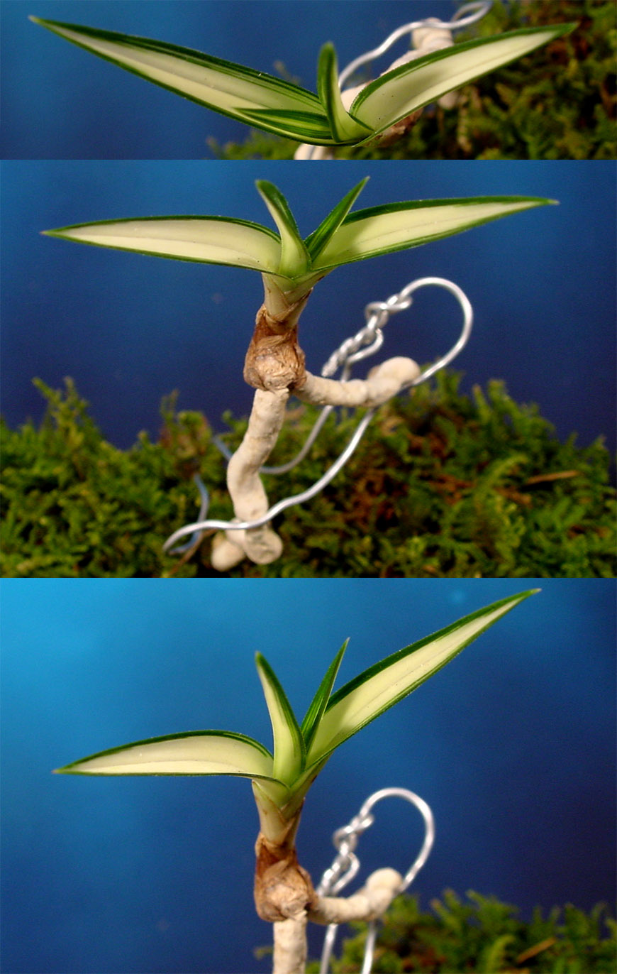 ������ ū������ �� �� �ֽ��ϴ�.