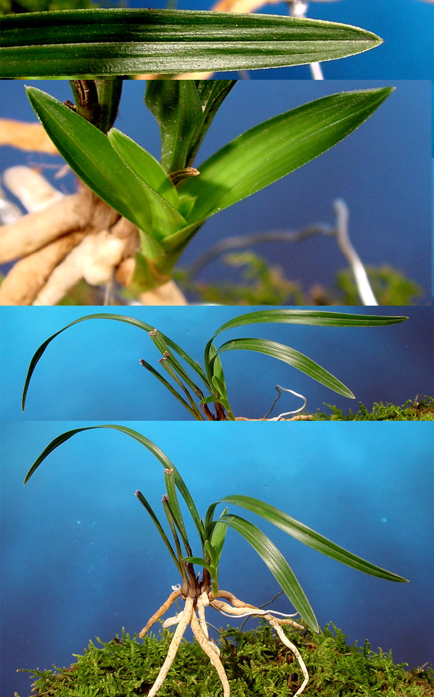 ������ ū������ �� �� �ֽ��ϴ�.