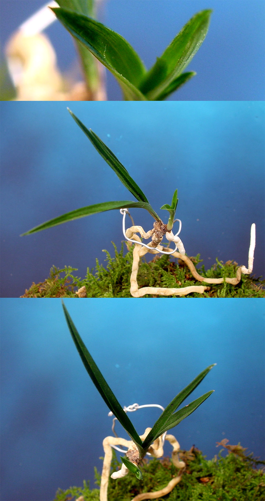 ������ ū������ �� �� �ֽ��ϴ�.