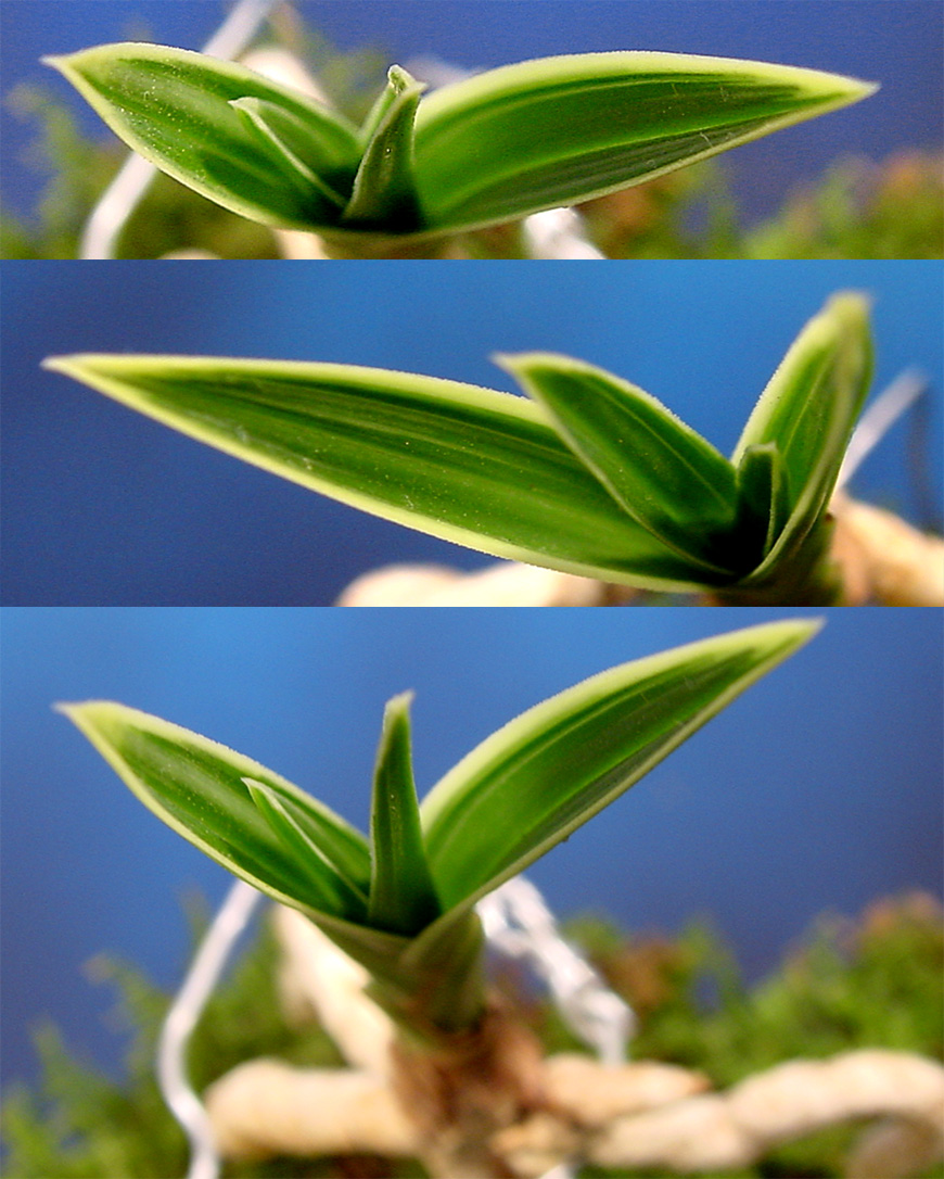 ������ ū������ �� �� �ֽ��ϴ�.