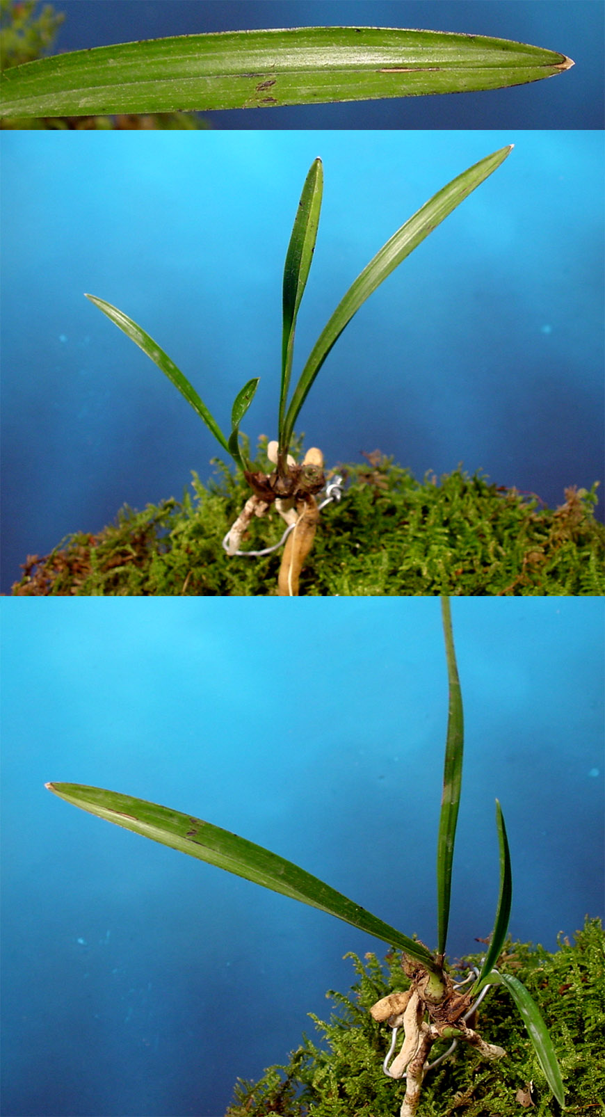 ������ ū������ �� �� �ֽ��ϴ�.