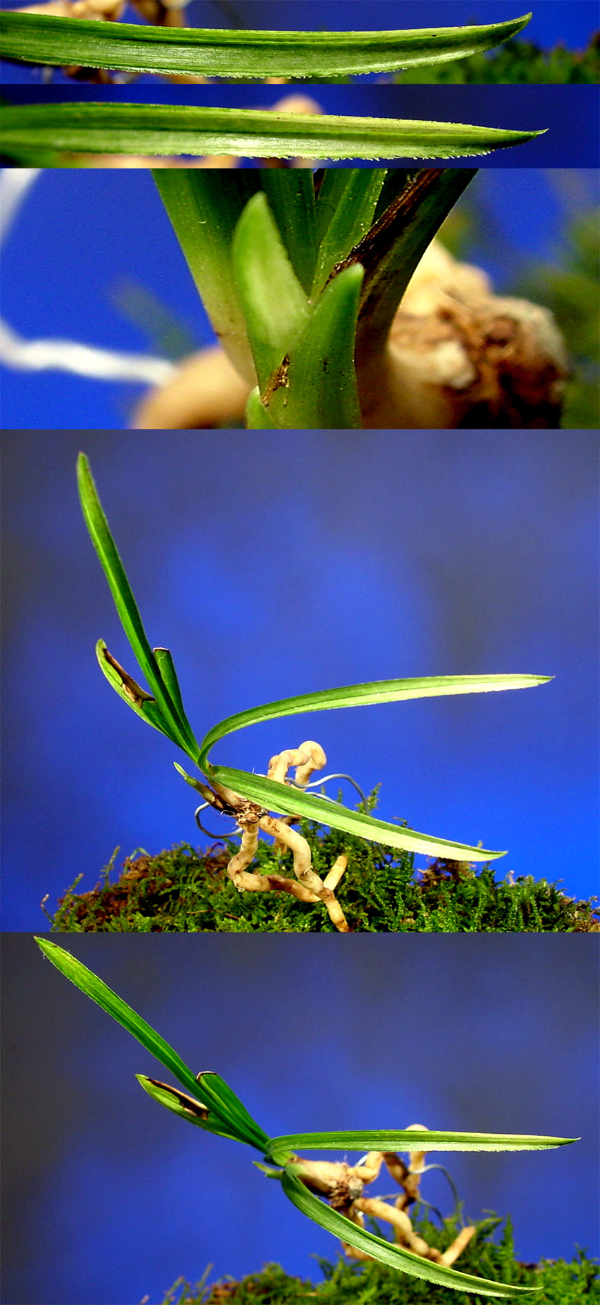 ������ ū������ �� �� �ֽ��ϴ�.