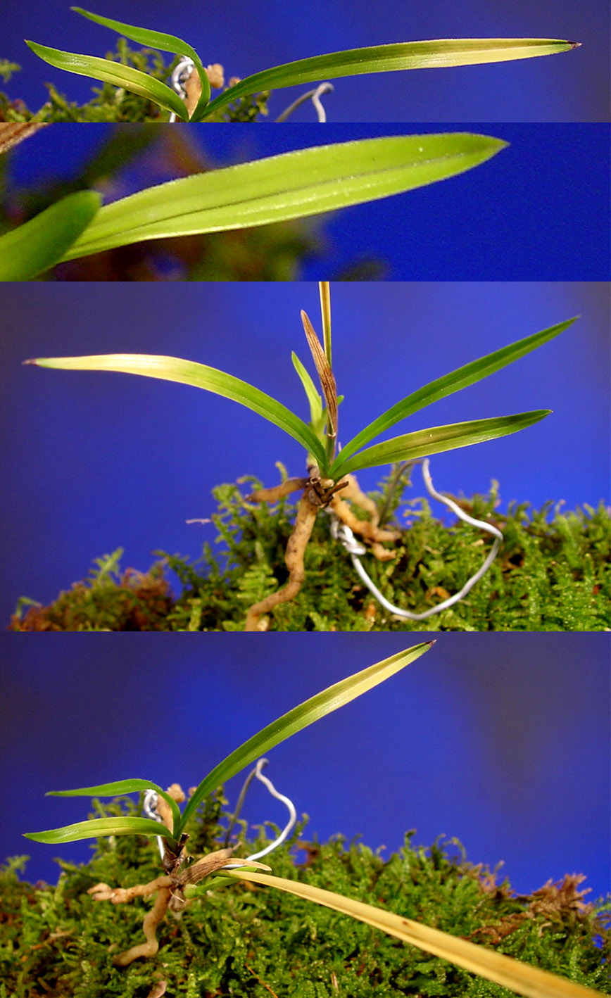 ������ ū������ �� �� �ֽ��ϴ�.