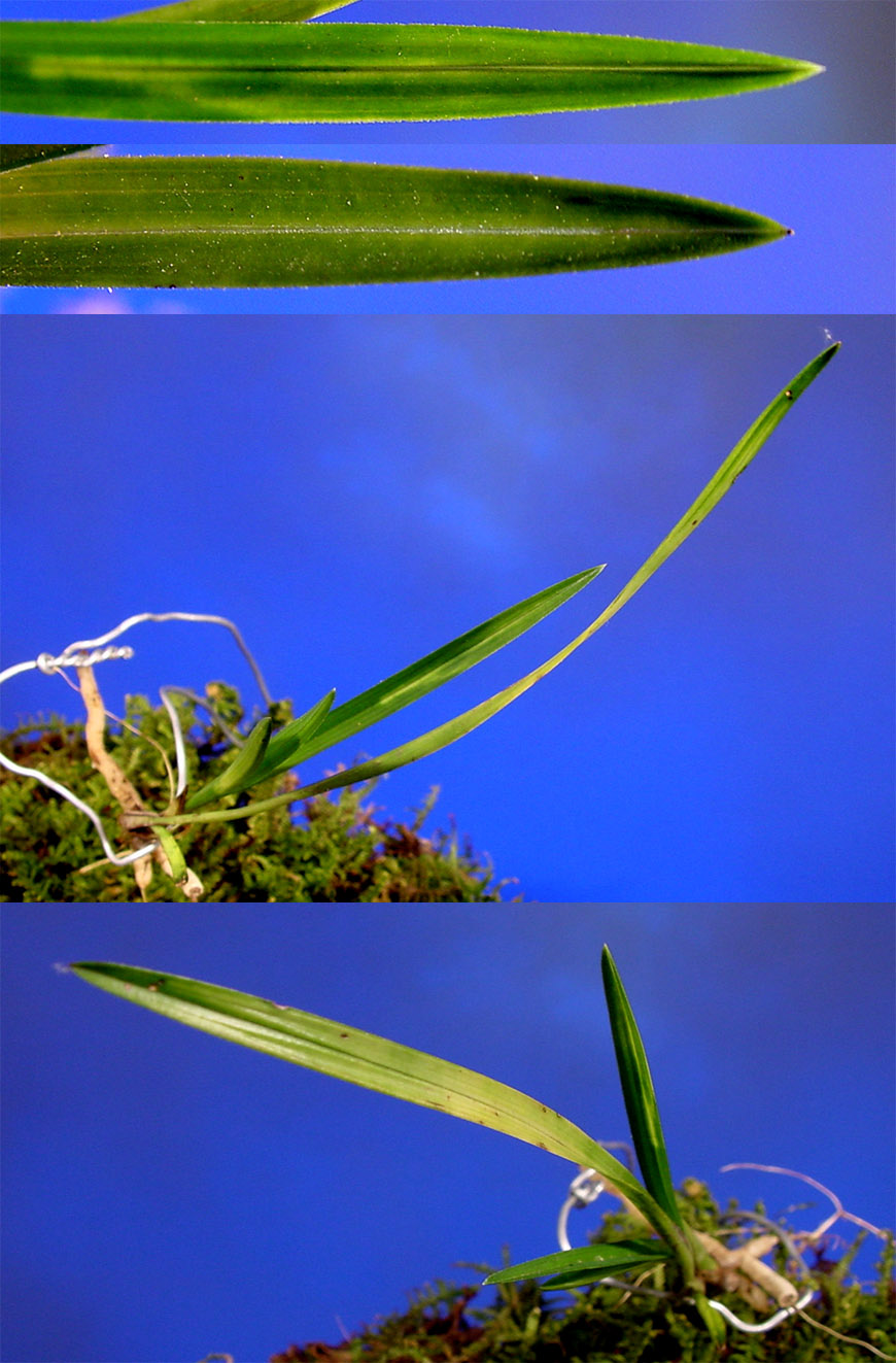 ������ ū������ �� �� �ֽ��ϴ�.