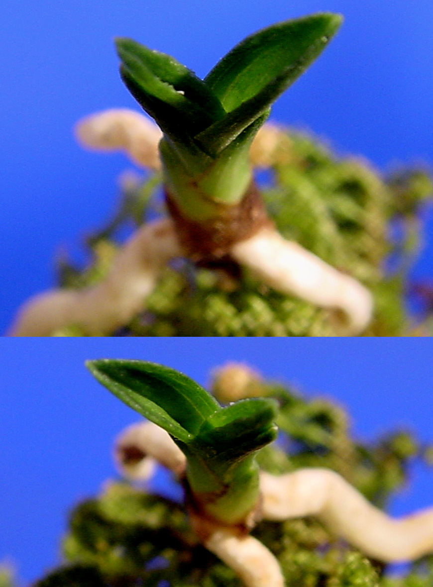 ������ ū������ �� �� �ֽ��ϴ�.