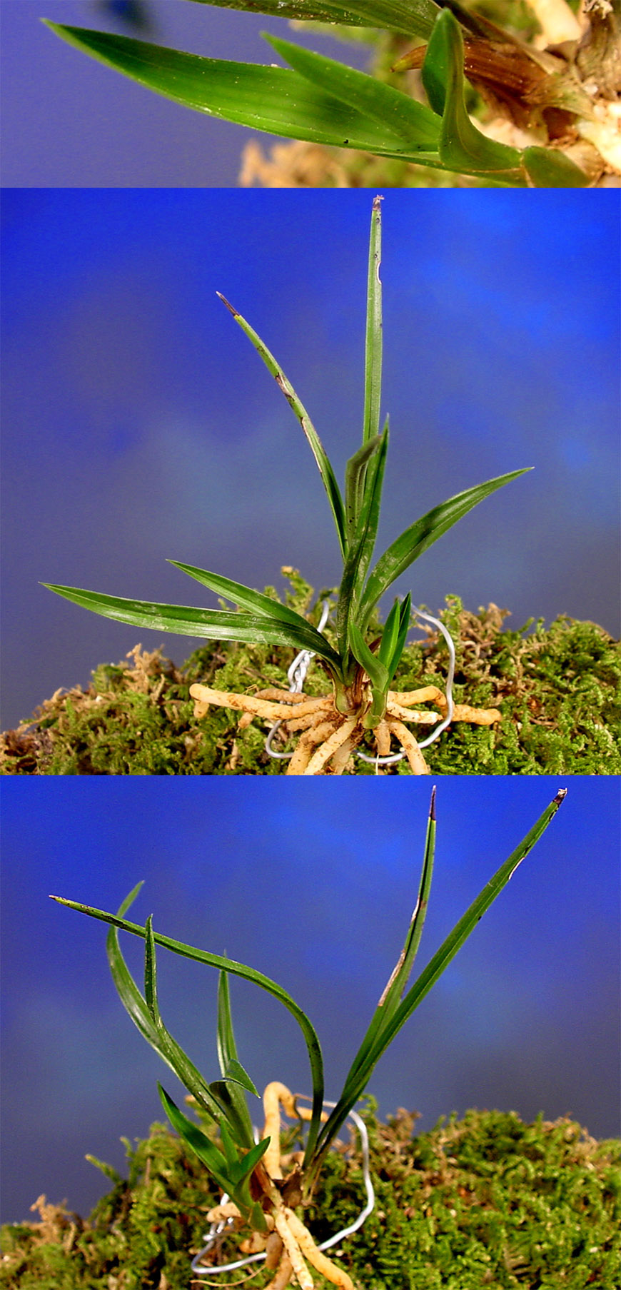 ������ ū������ �� �� �ֽ��ϴ�.