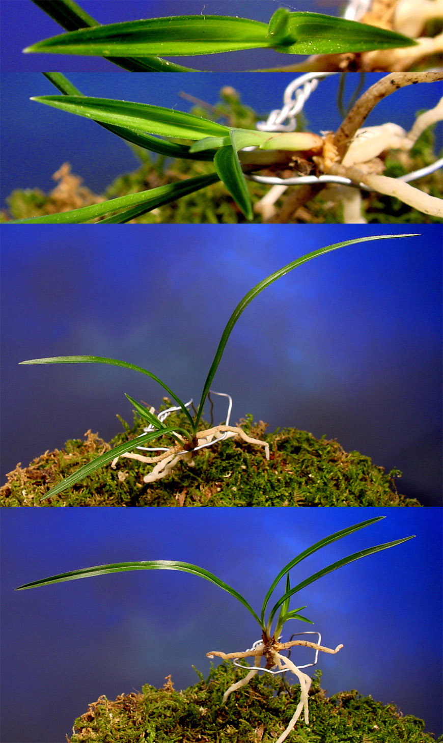 ������ ū������ �� �� �ֽ��ϴ�.