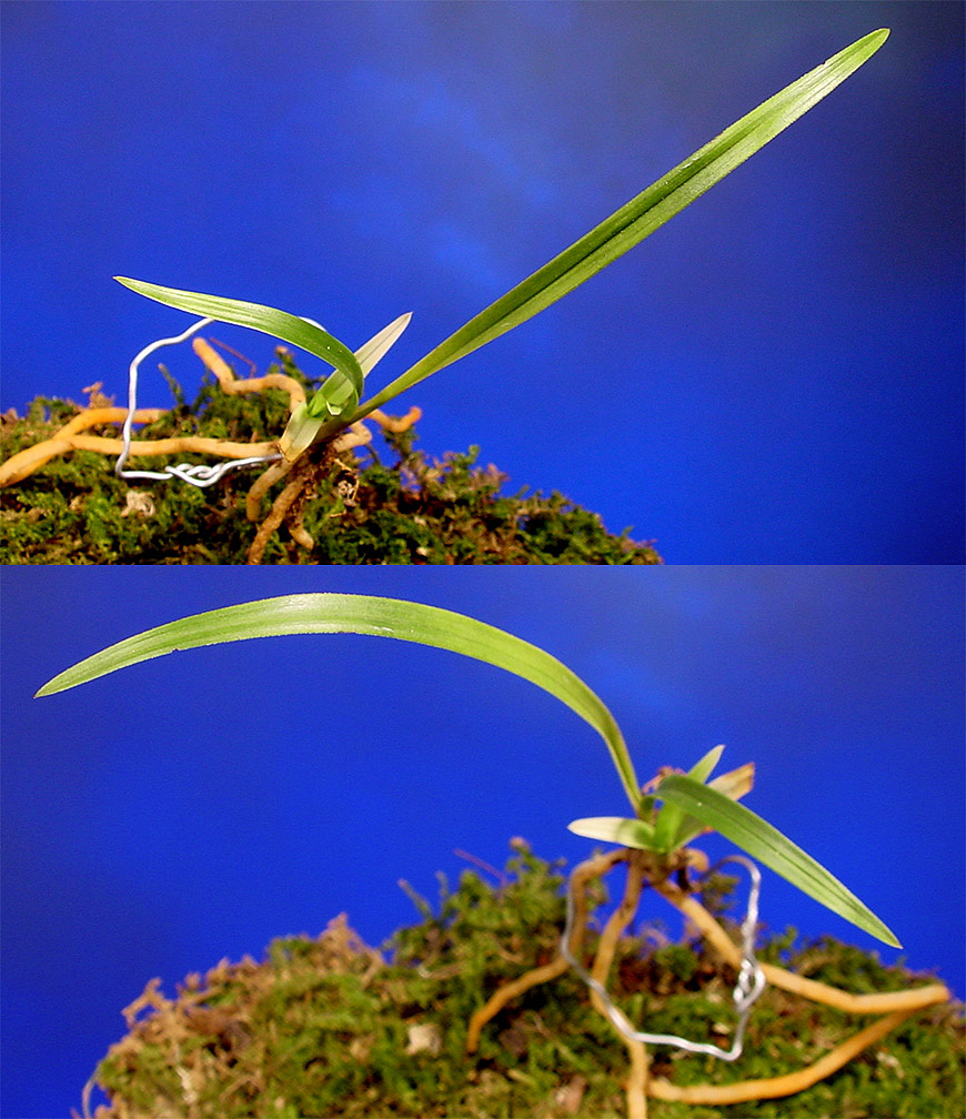 ������ ū������ �� �� �ֽ��ϴ�.