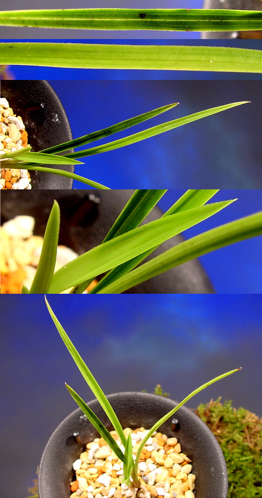 ������ ū������ �� �� �ֽ��ϴ�.