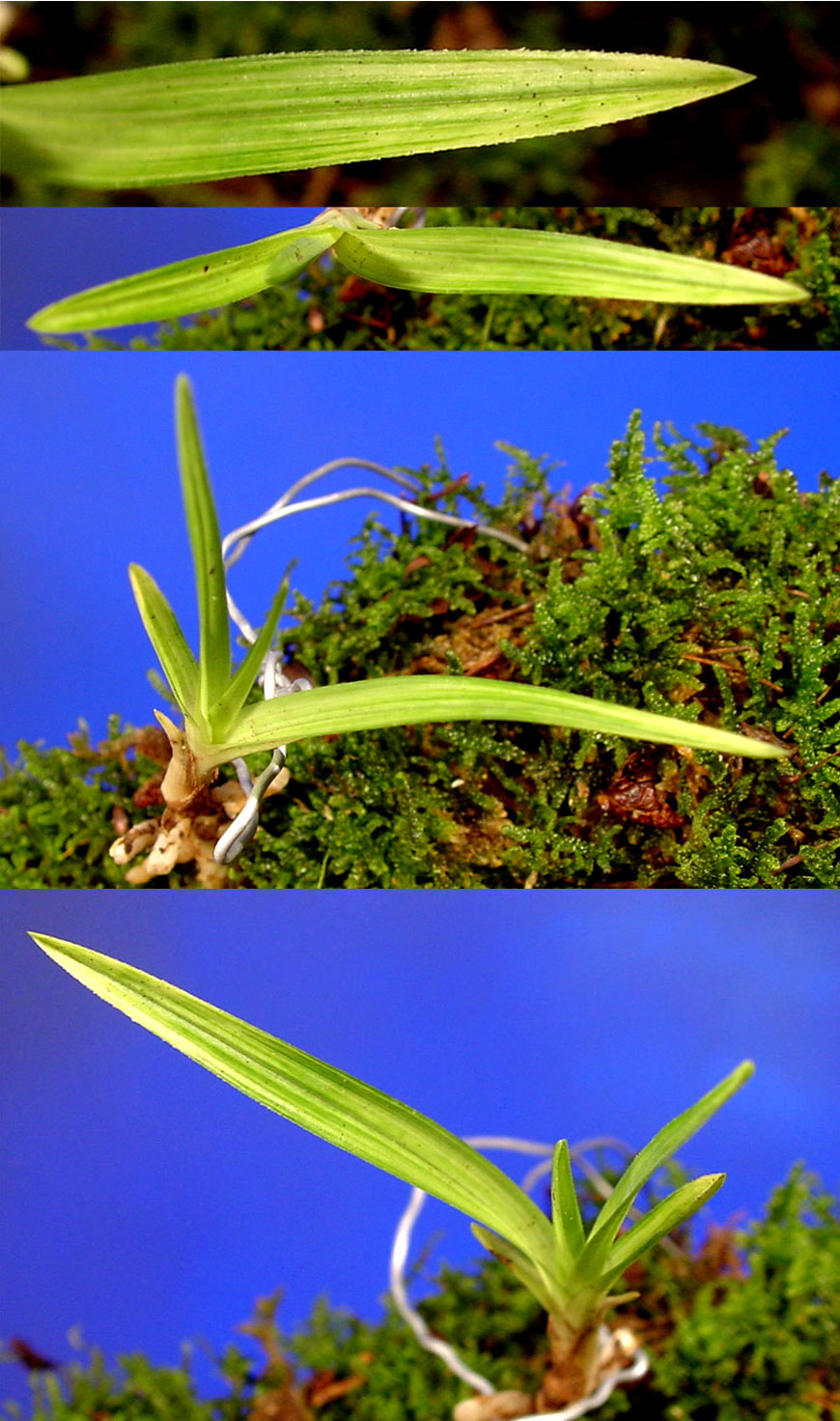 ������ ū������ �� �� �ֽ��ϴ�.