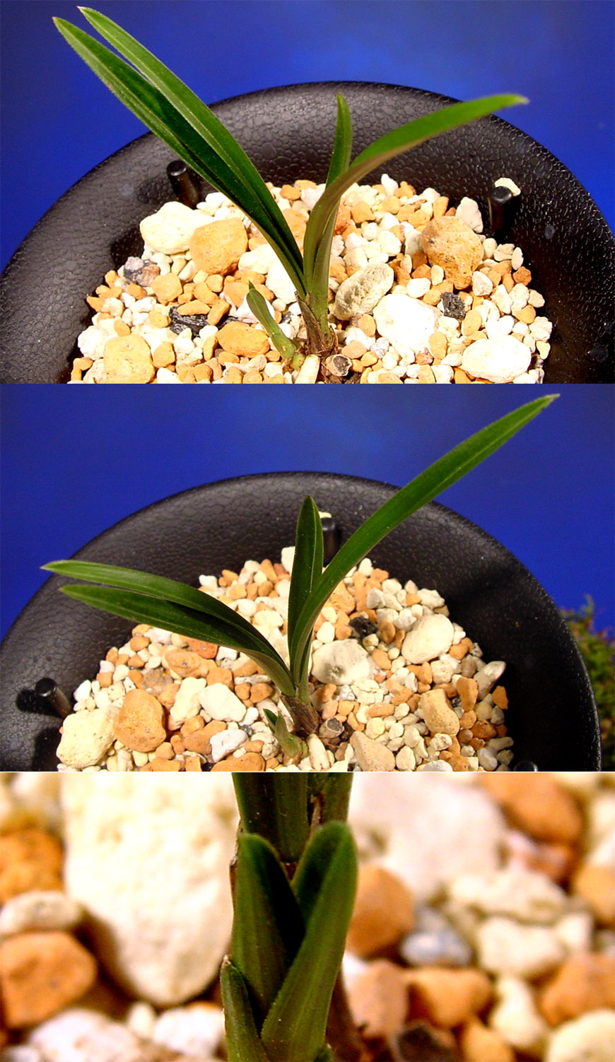 ������ ū������ �� �� �ֽ��ϴ�.