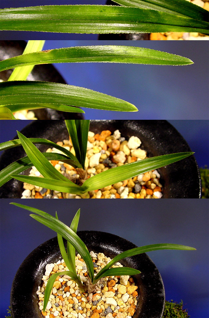 ������ ū������ �� �� �ֽ��ϴ�.