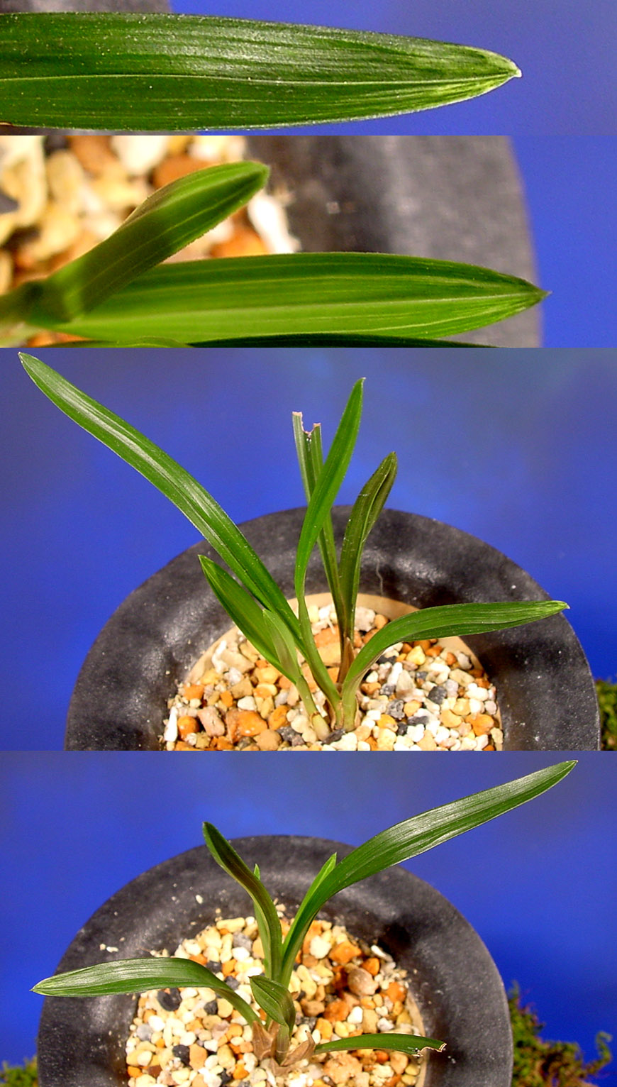 ������ ū������ �� �� �ֽ��ϴ�.