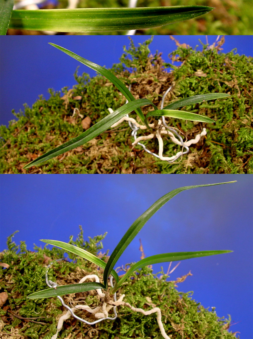 ������ ū������ �� �� �ֽ��ϴ�.