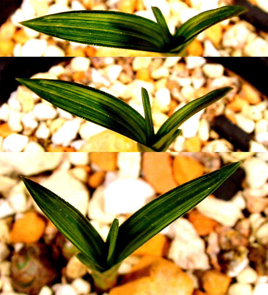 ������ ū������ �� �� �ֽ��ϴ�.