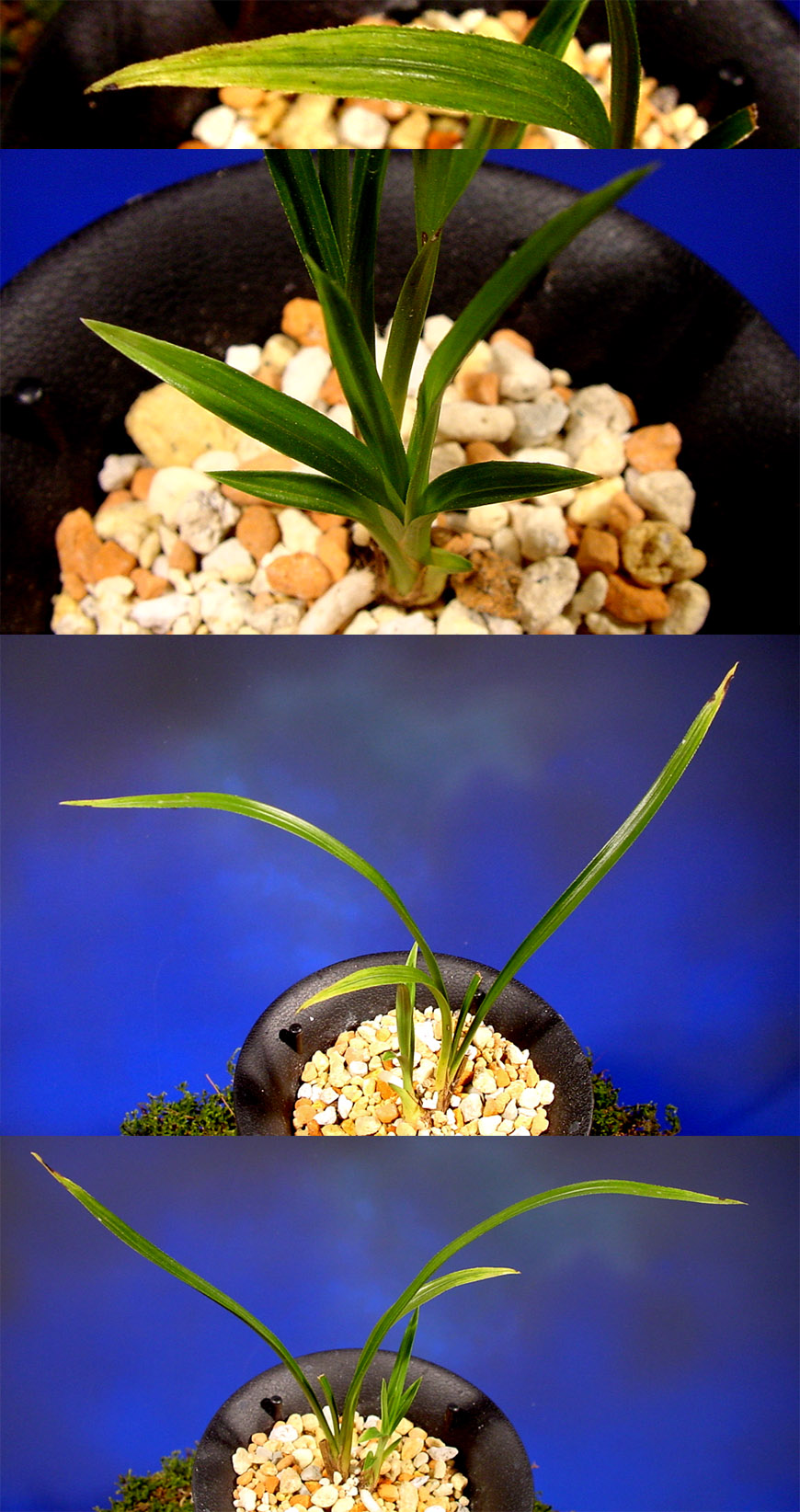 ������ ū������ �� �� �ֽ��ϴ�.