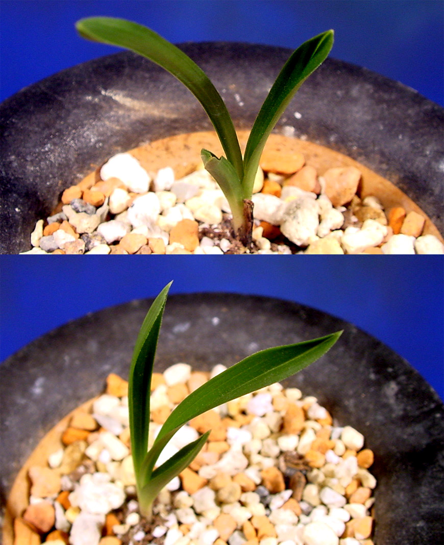 ������ ū������ �� �� �ֽ��ϴ�.