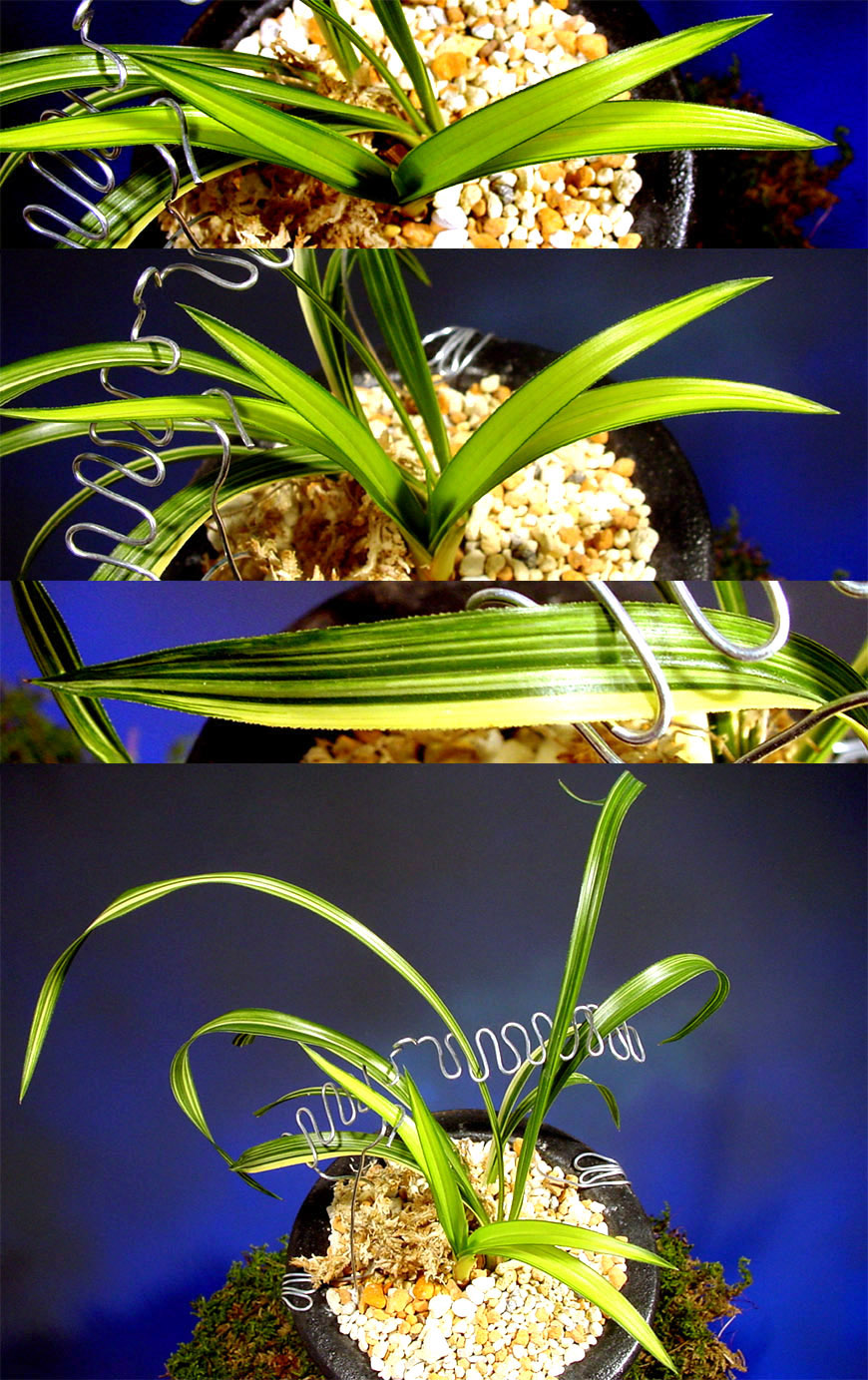 ������ ū������ �� �� �ֽ��ϴ�.