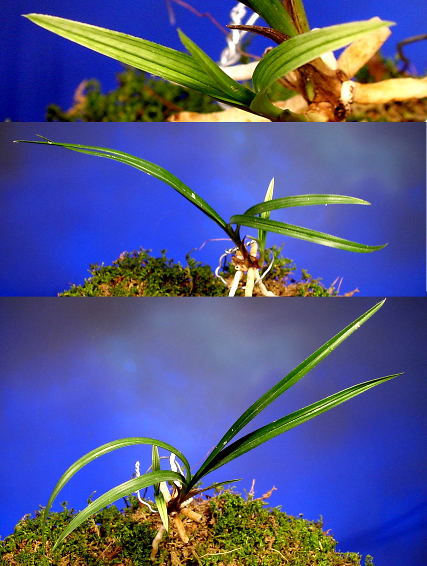 ������ ū������ �� �� �ֽ��ϴ�.