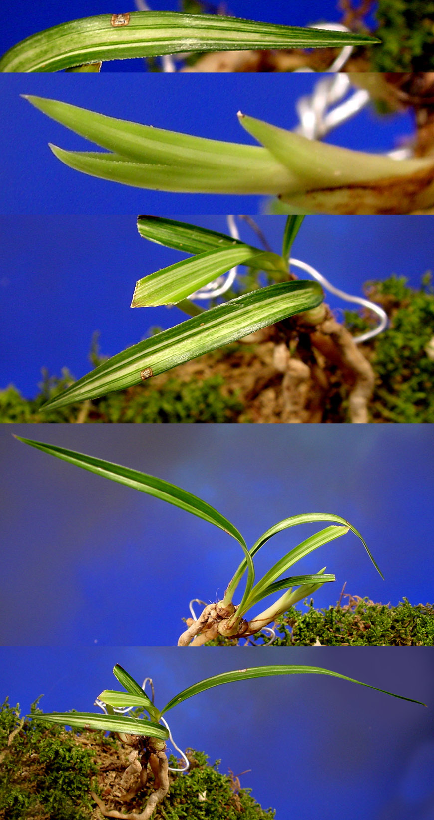 ������ ū������ �� �� �ֽ��ϴ�.