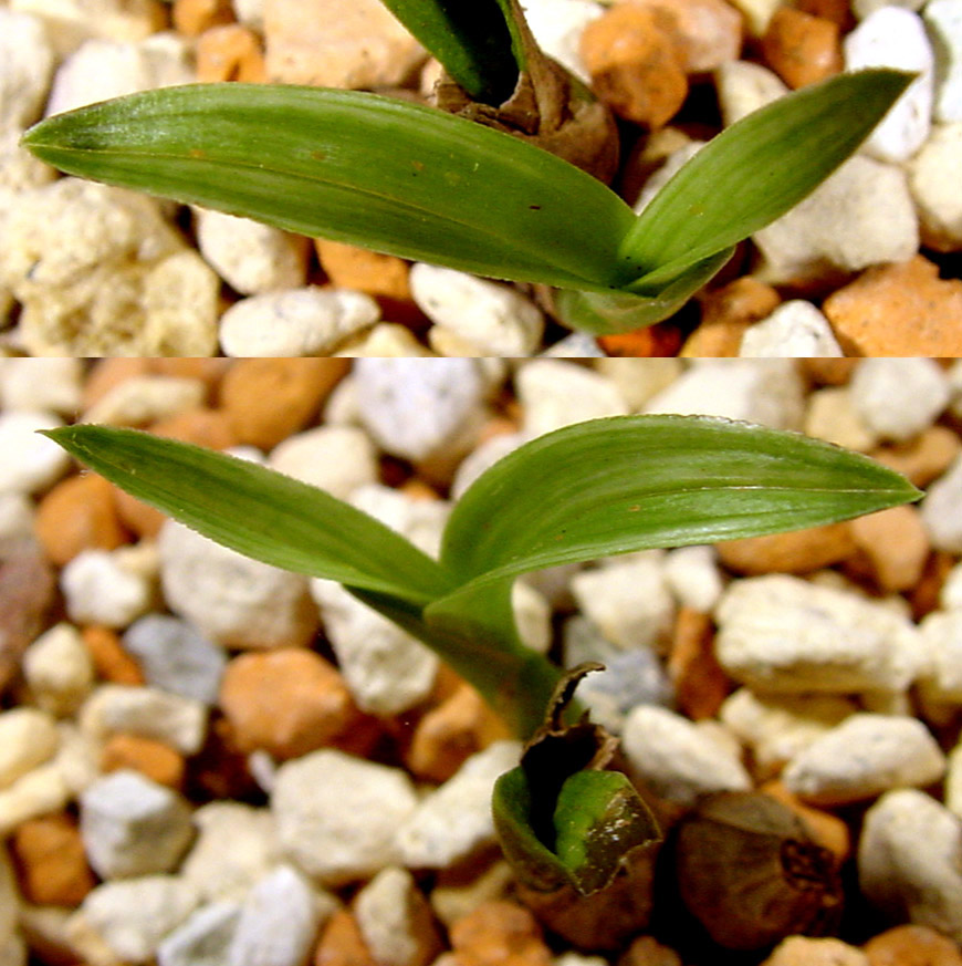 ������ ū������ �� �� �ֽ��ϴ�.