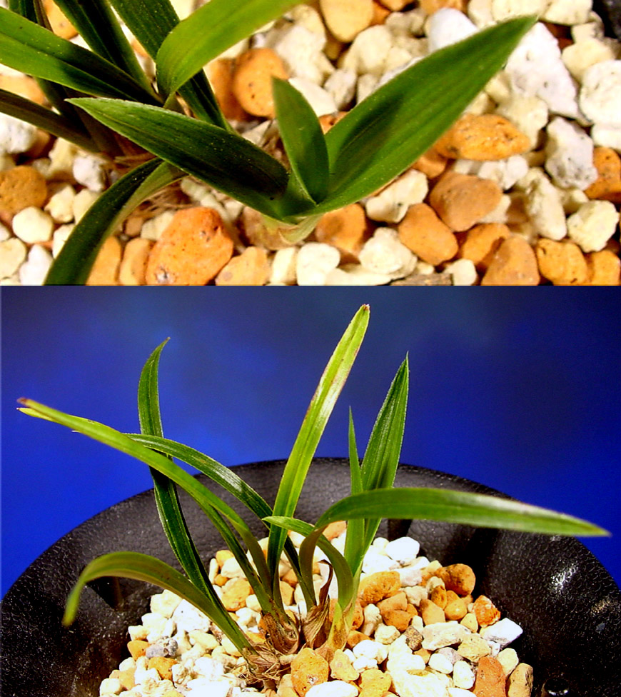 ������ ū������ �� �� �ֽ��ϴ�.