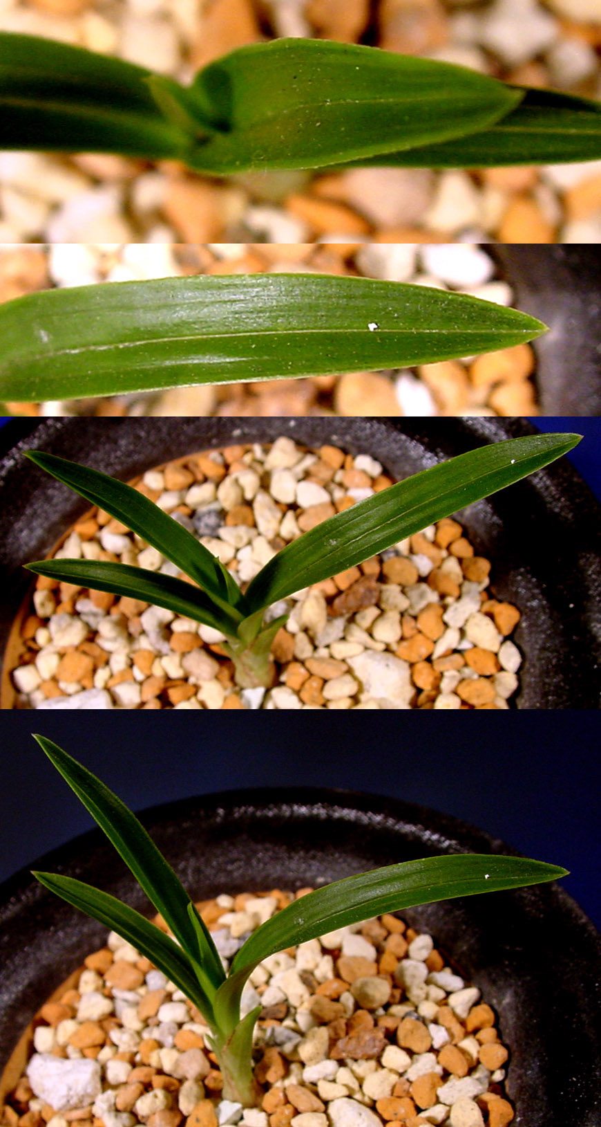 ������ ū������ �� �� �ֽ��ϴ�.