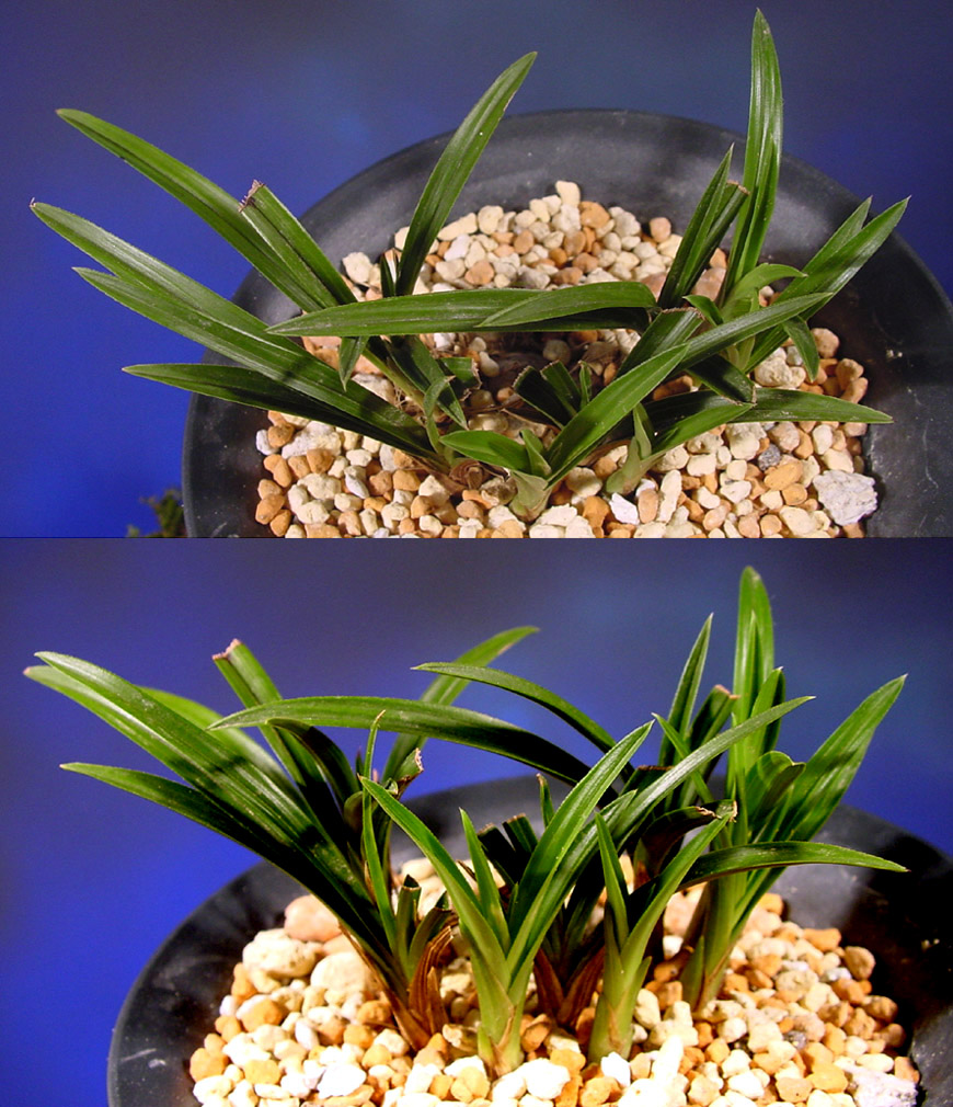 ������ ū������ �� �� �ֽ��ϴ�.