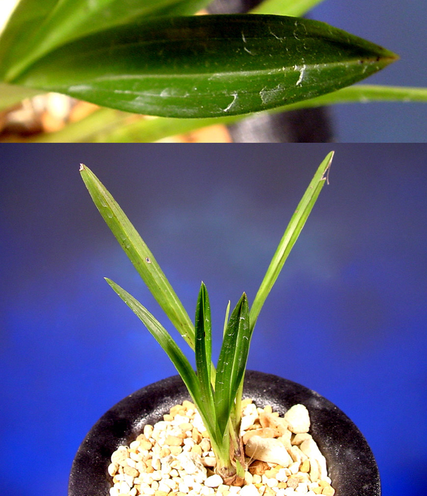 ������ ū������ �� �� �ֽ��ϴ�.