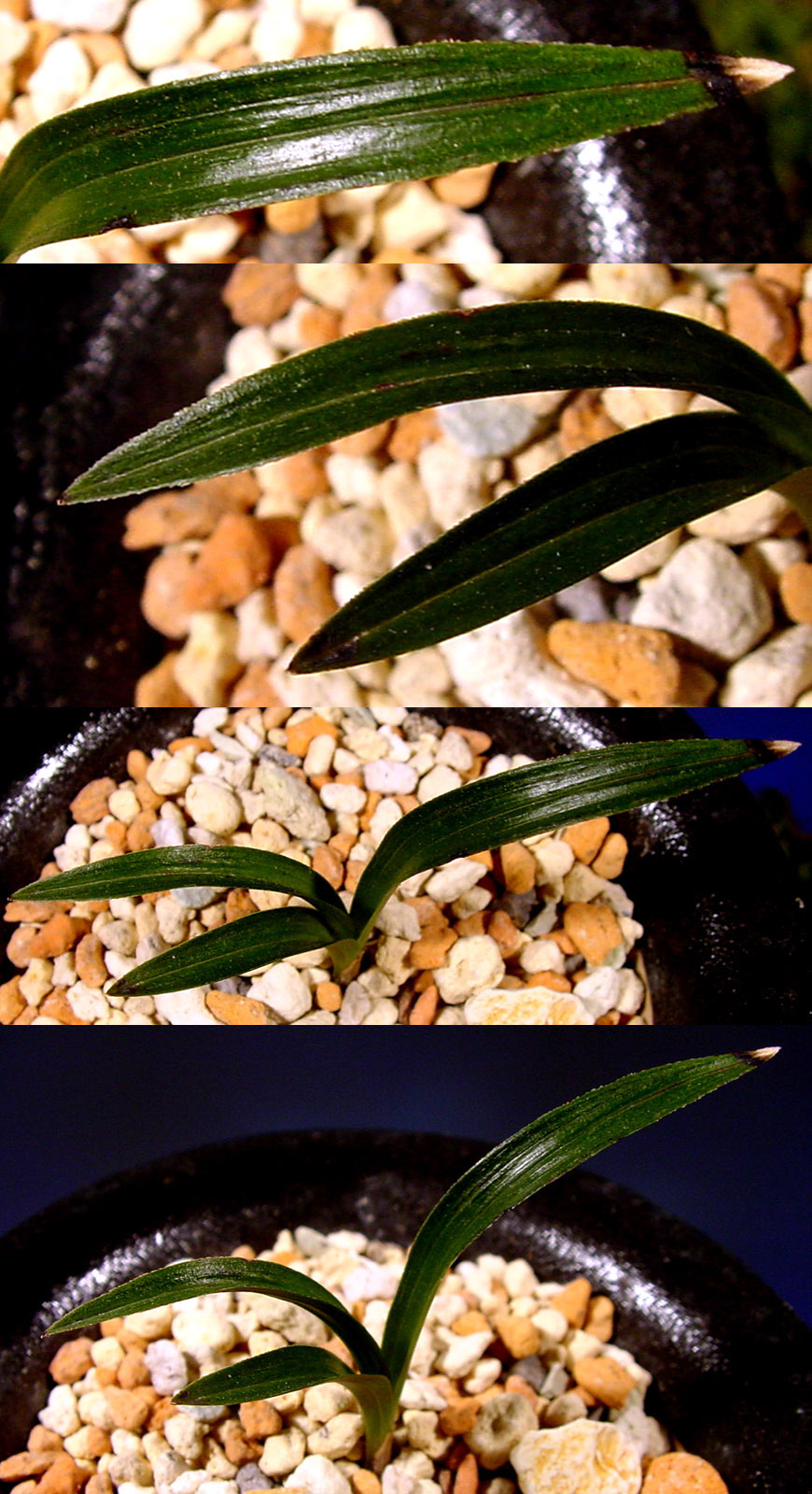 ������ ū������ �� �� �ֽ��ϴ�.