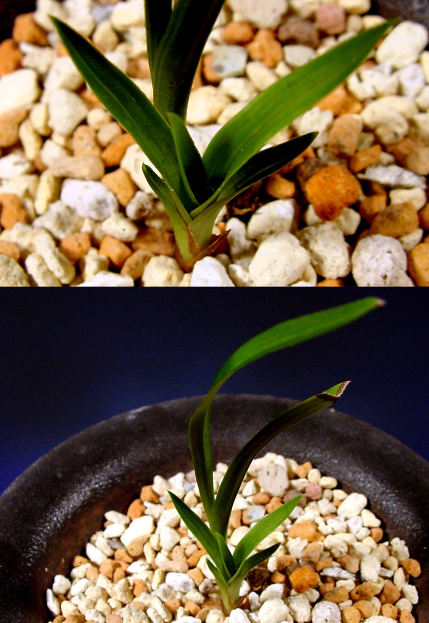 ������ ū������ �� �� �ֽ��ϴ�.