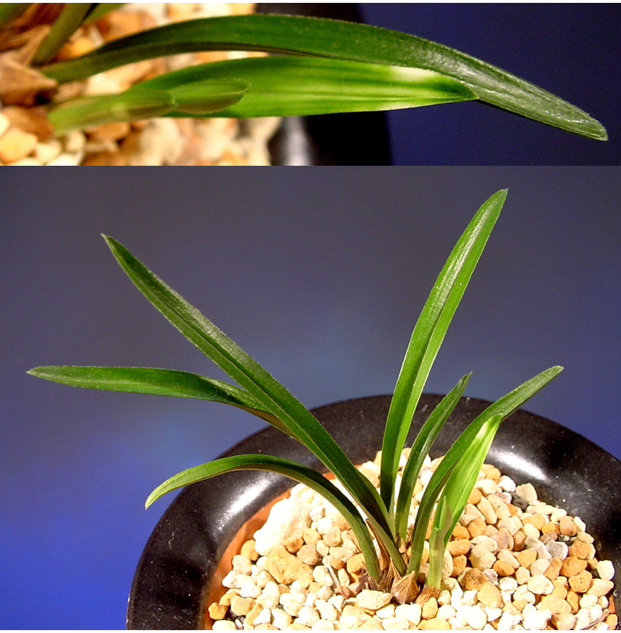 ������ ū������ �� �� �ֽ��ϴ�.