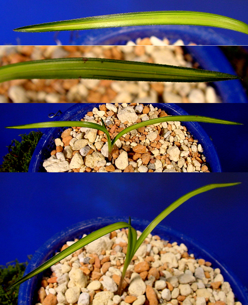 ������ ū������ �� �� �ֽ��ϴ�.