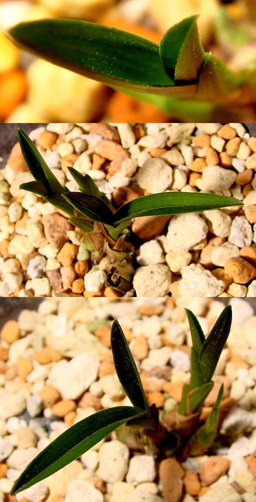 ������ ū������ �� �� �ֽ��ϴ�.