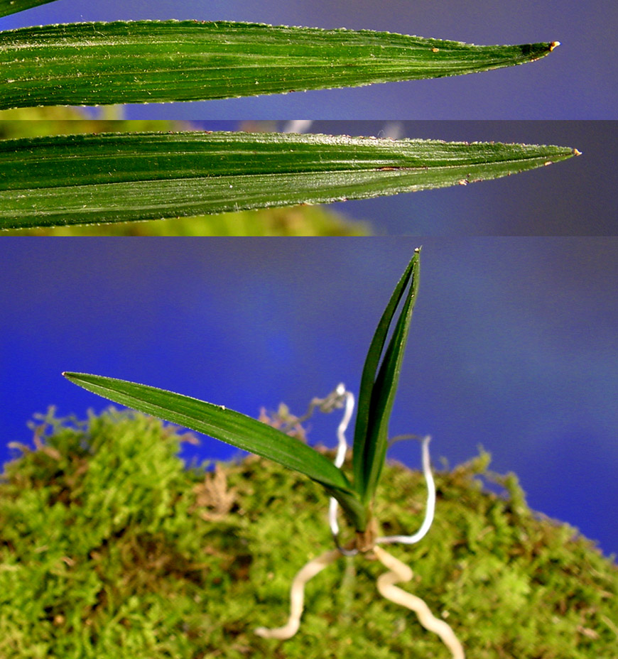 ������ ū������ �� �� �ֽ��ϴ�.