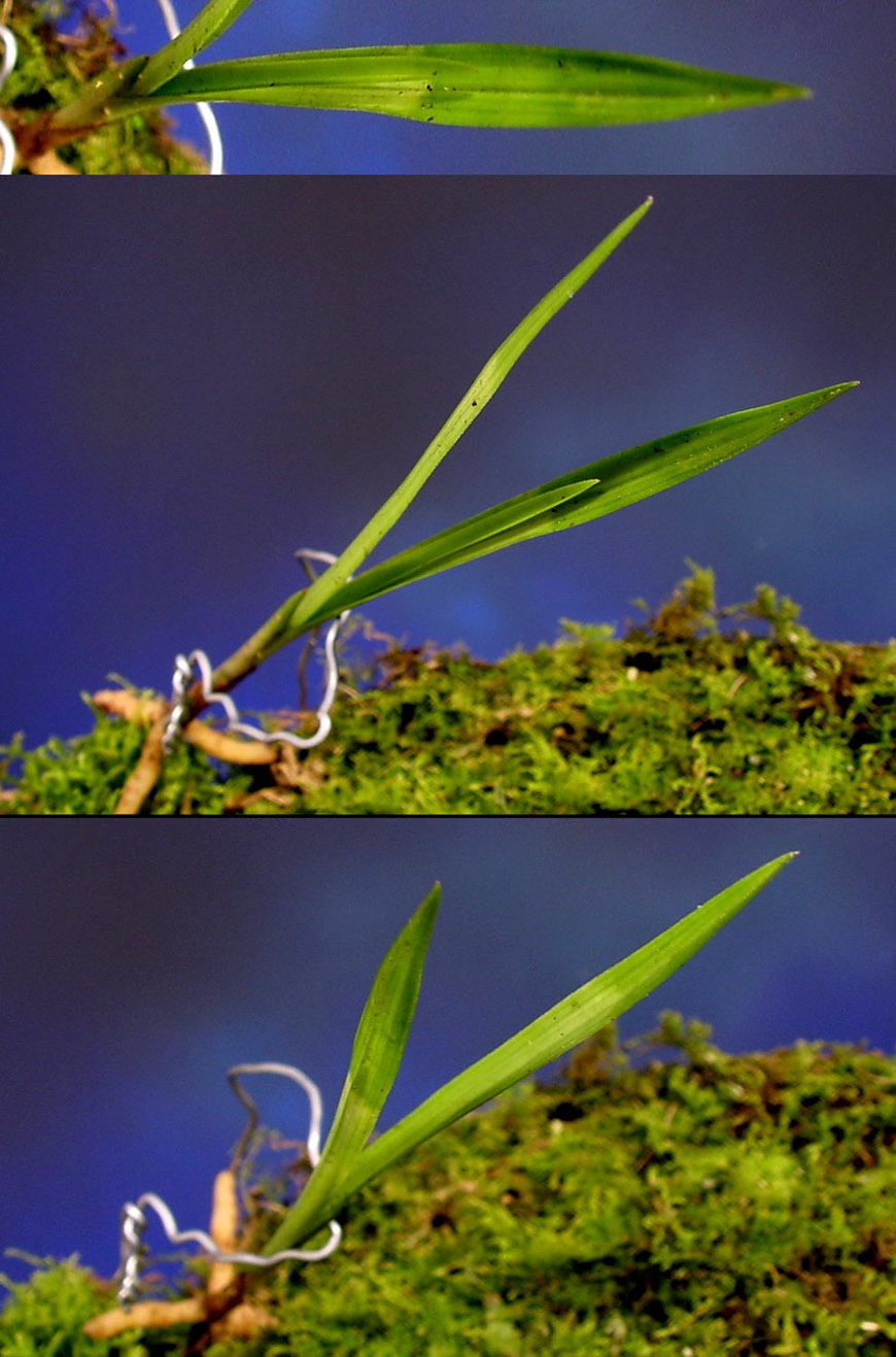 ������ ū������ �� �� �ֽ��ϴ�.