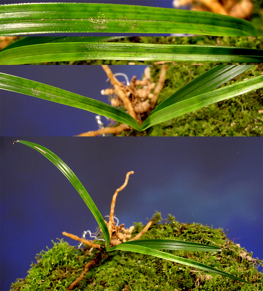 ������ ū������ �� �� �ֽ��ϴ�.