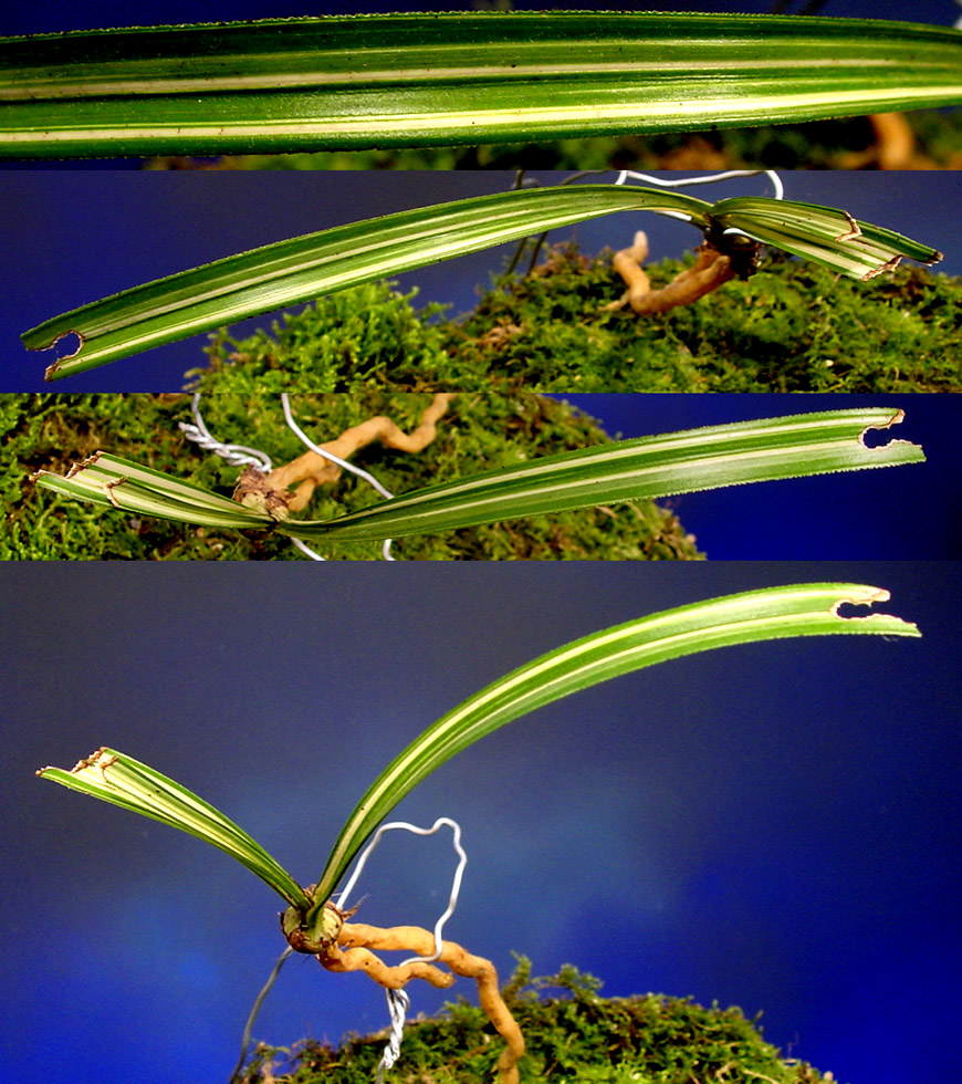 ������ ū������ �� �� �ֽ��ϴ�.