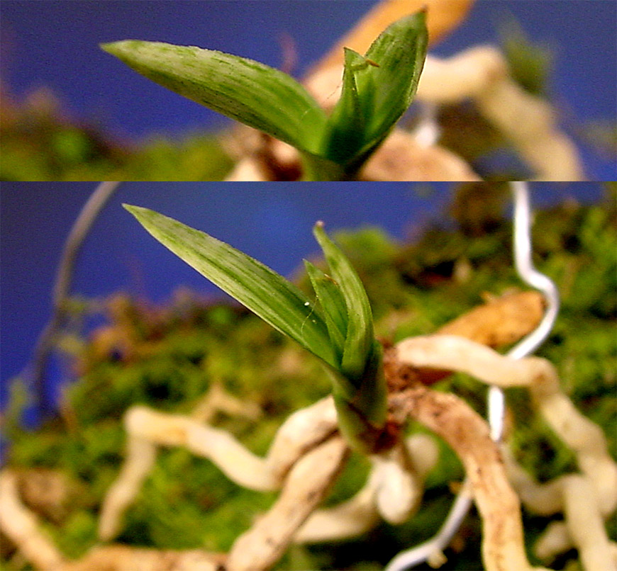 ������ ū������ �� �� �ֽ��ϴ�.