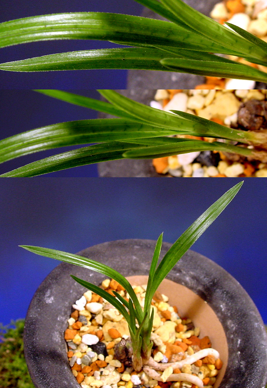 ������ ū������ �� �� �ֽ��ϴ�.