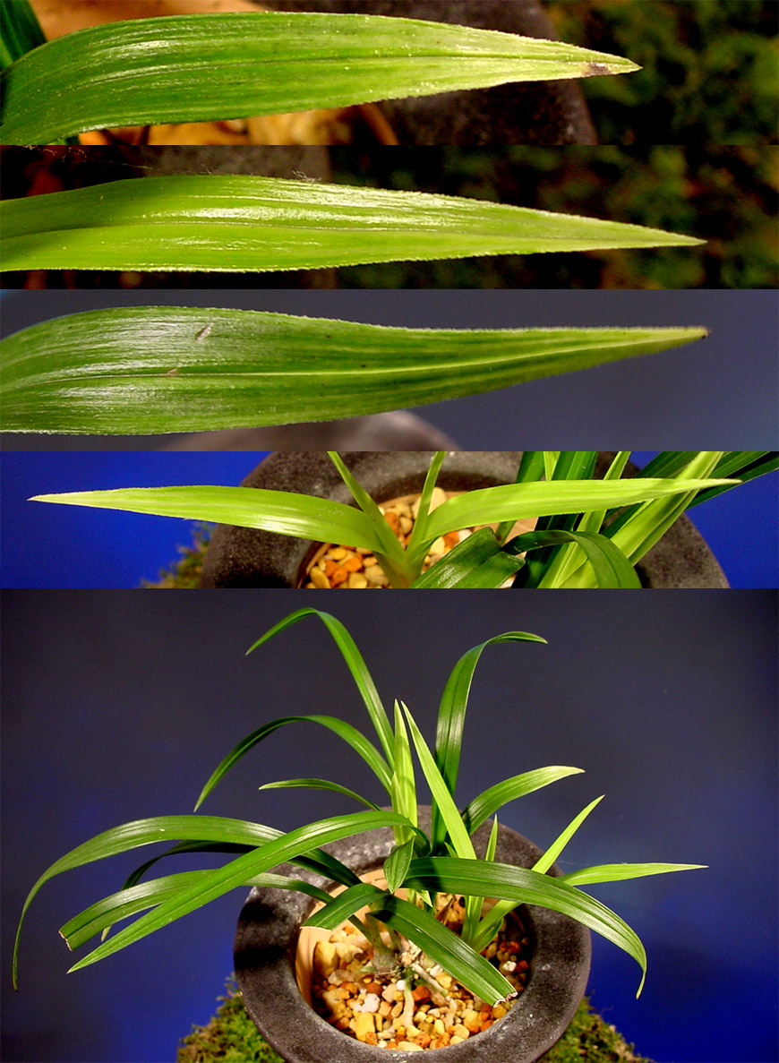 ������ ū������ �� �� �ֽ��ϴ�.