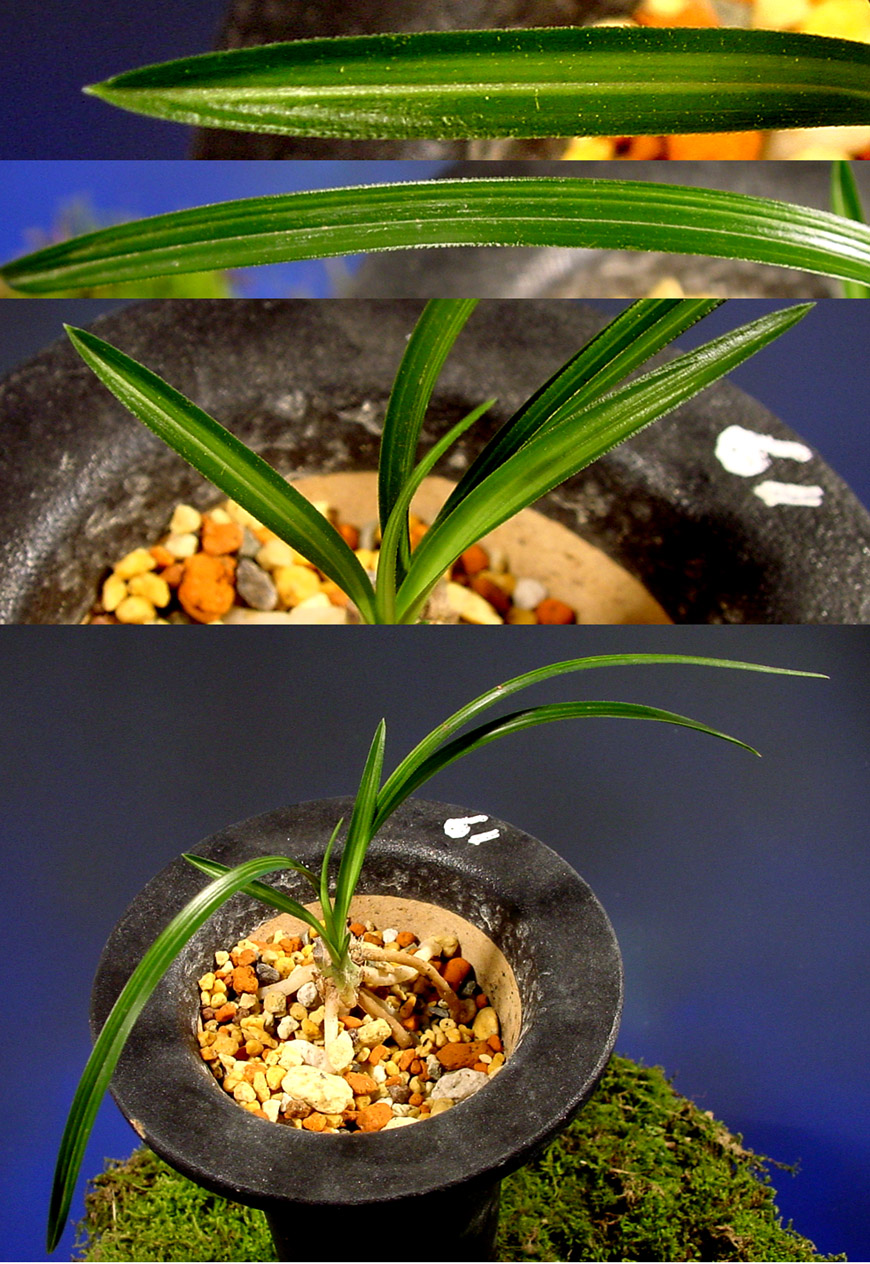 ������ ū������ �� �� �ֽ��ϴ�.