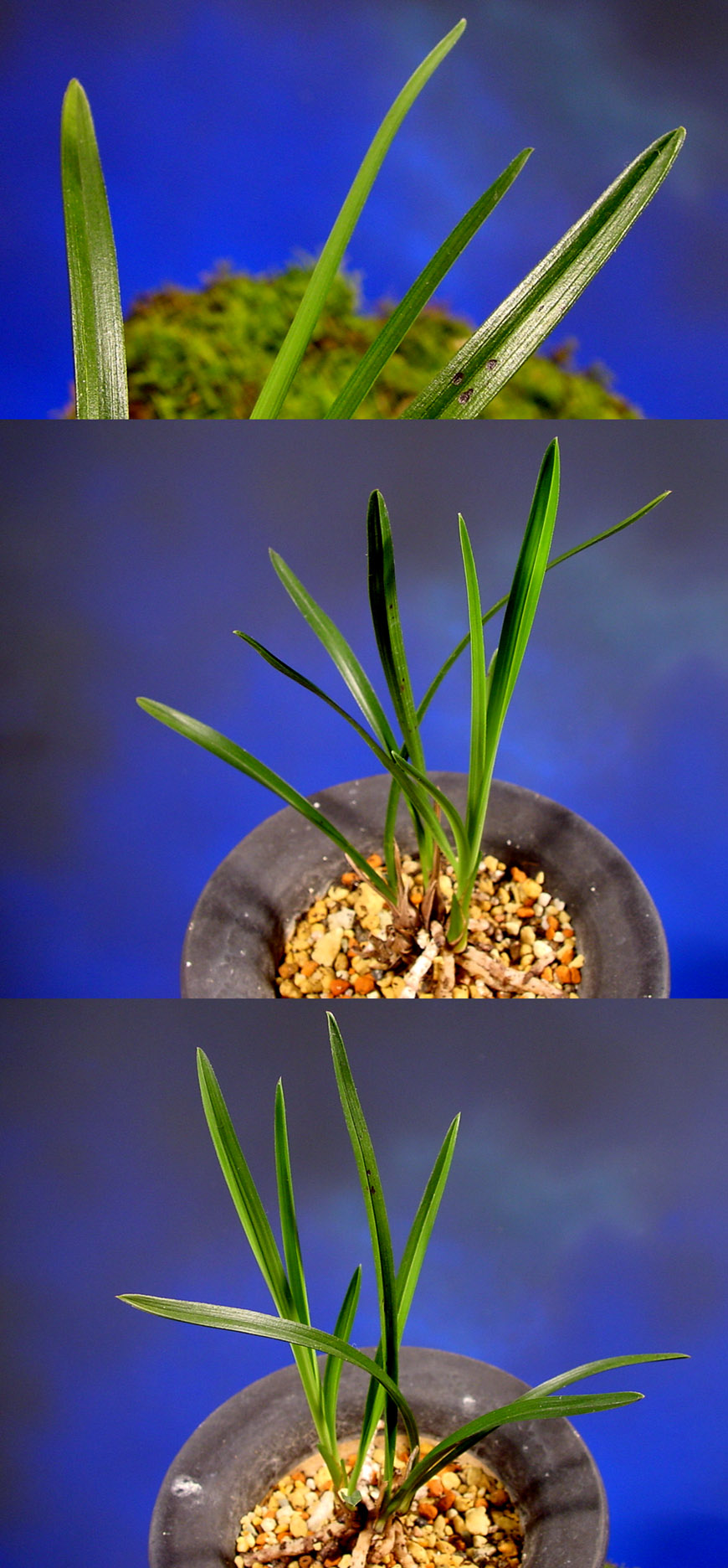 ������ ū������ �� �� �ֽ��ϴ�.