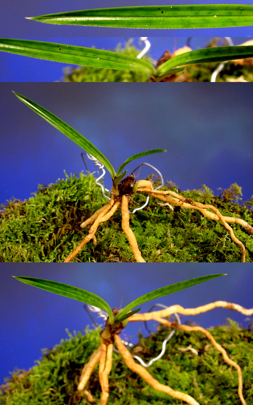 ������ ū������ �� �� �ֽ��ϴ�.