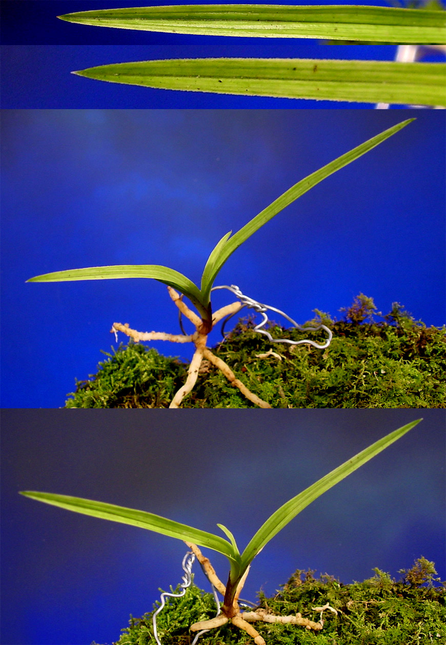 ������ ū������ �� �� �ֽ��ϴ�.