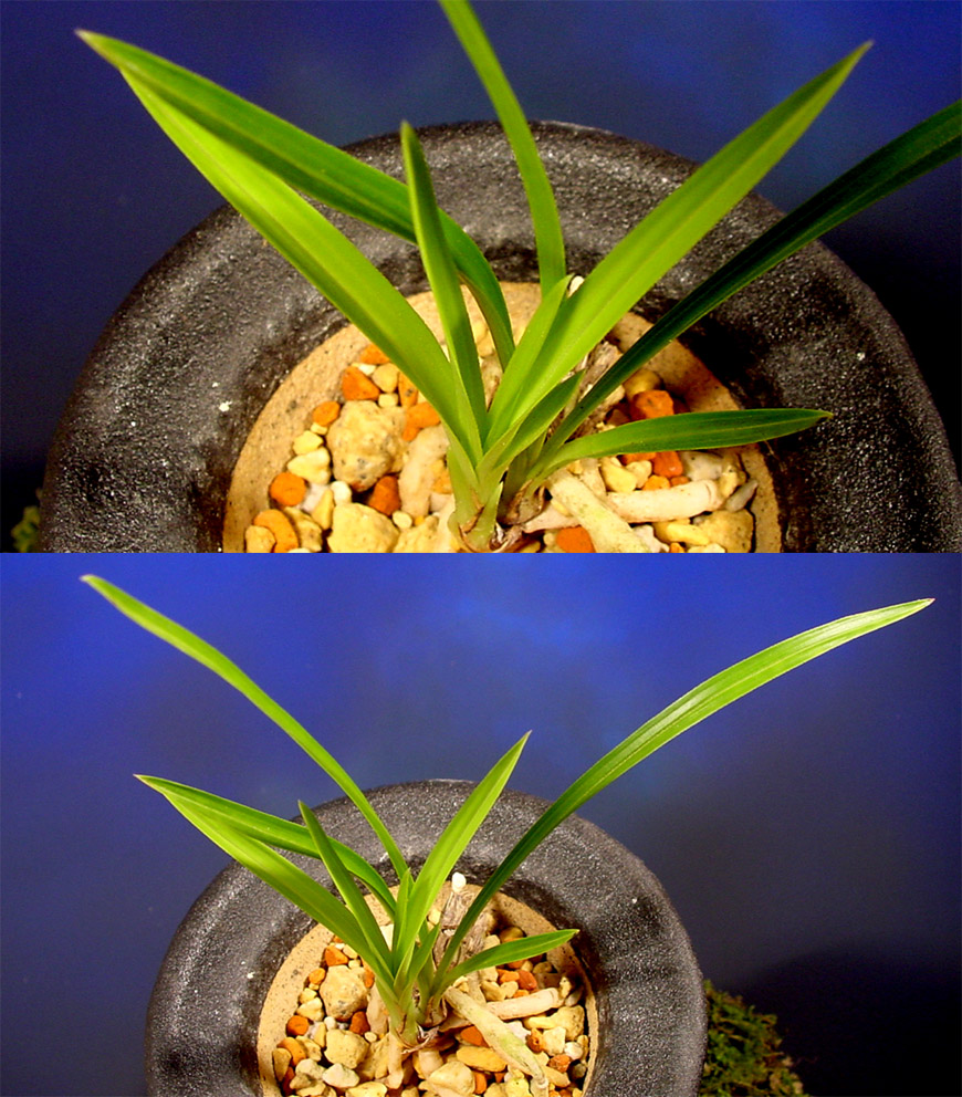 ������ ū������ �� �� �ֽ��ϴ�.