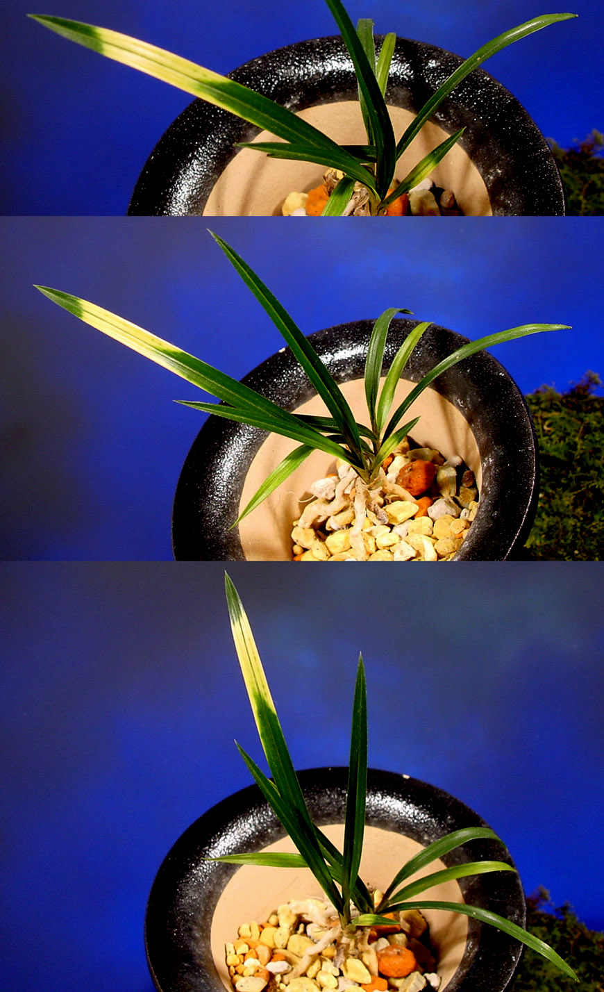 ������ ū������ �� �� �ֽ��ϴ�.