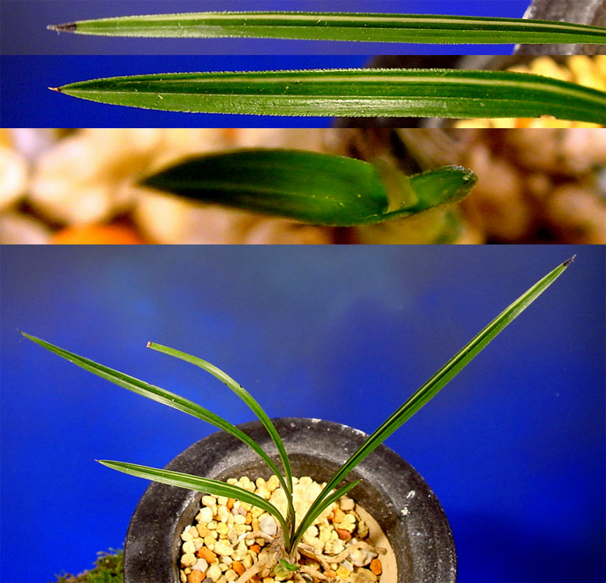 ������ ū������ �� �� �ֽ��ϴ�.